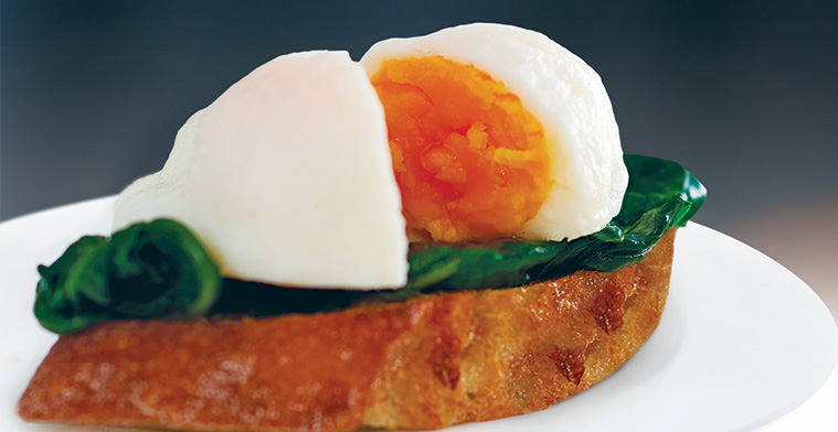Home Style Poached Egg